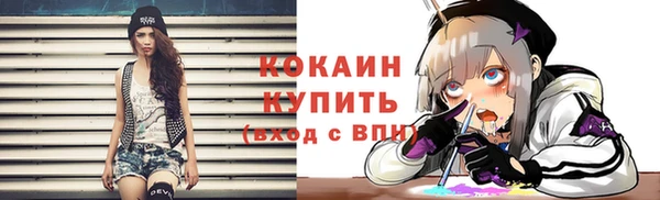 мет Новозыбков