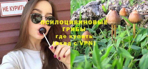 мет Новозыбков