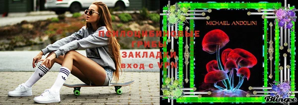 мет Новозыбков