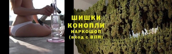 мет Новозыбков