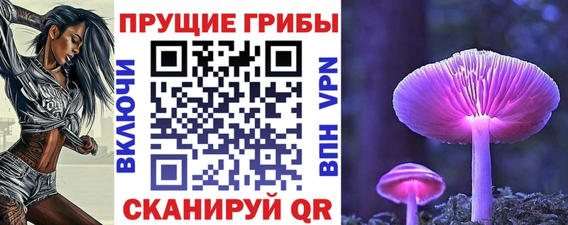 цена   Красавино  Псилоцибиновые грибы Psilocybe 